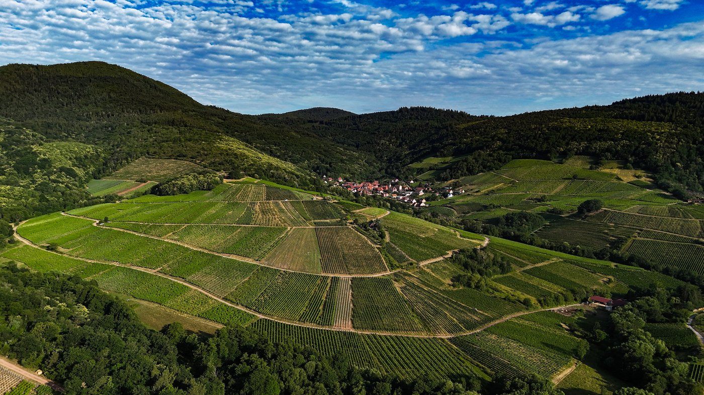 Carte aquarelle lieu-dit Sohlenberg