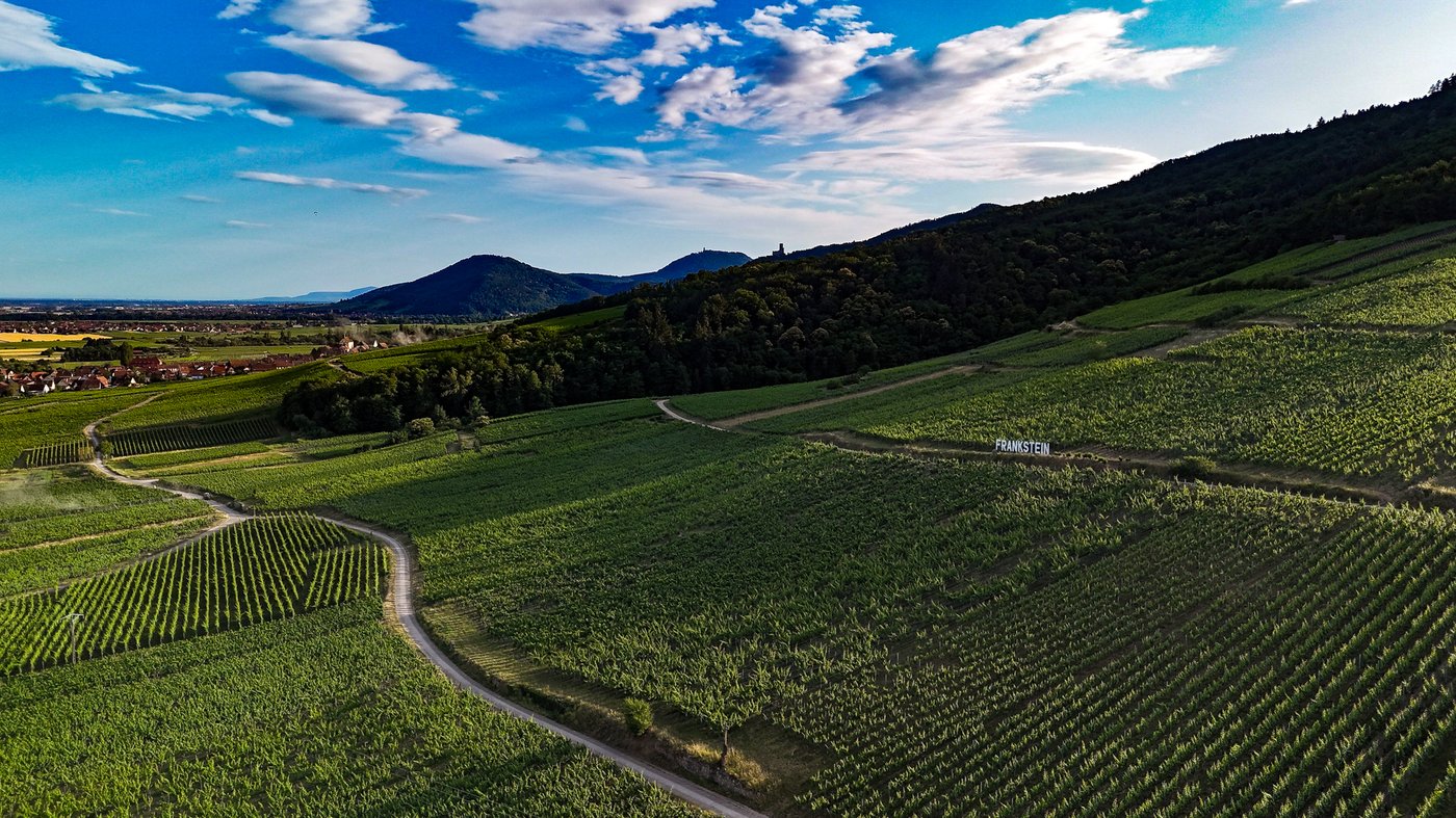 Grand Cru Frankstein vers Diefenbach