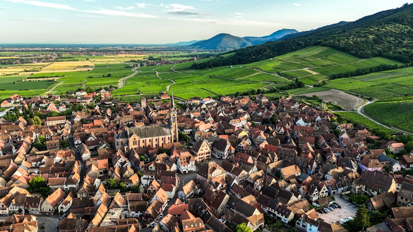 Dambach la Ville vue depuis les vignes