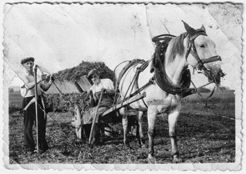 Les premiers pas dans la vigne · Famille Frey