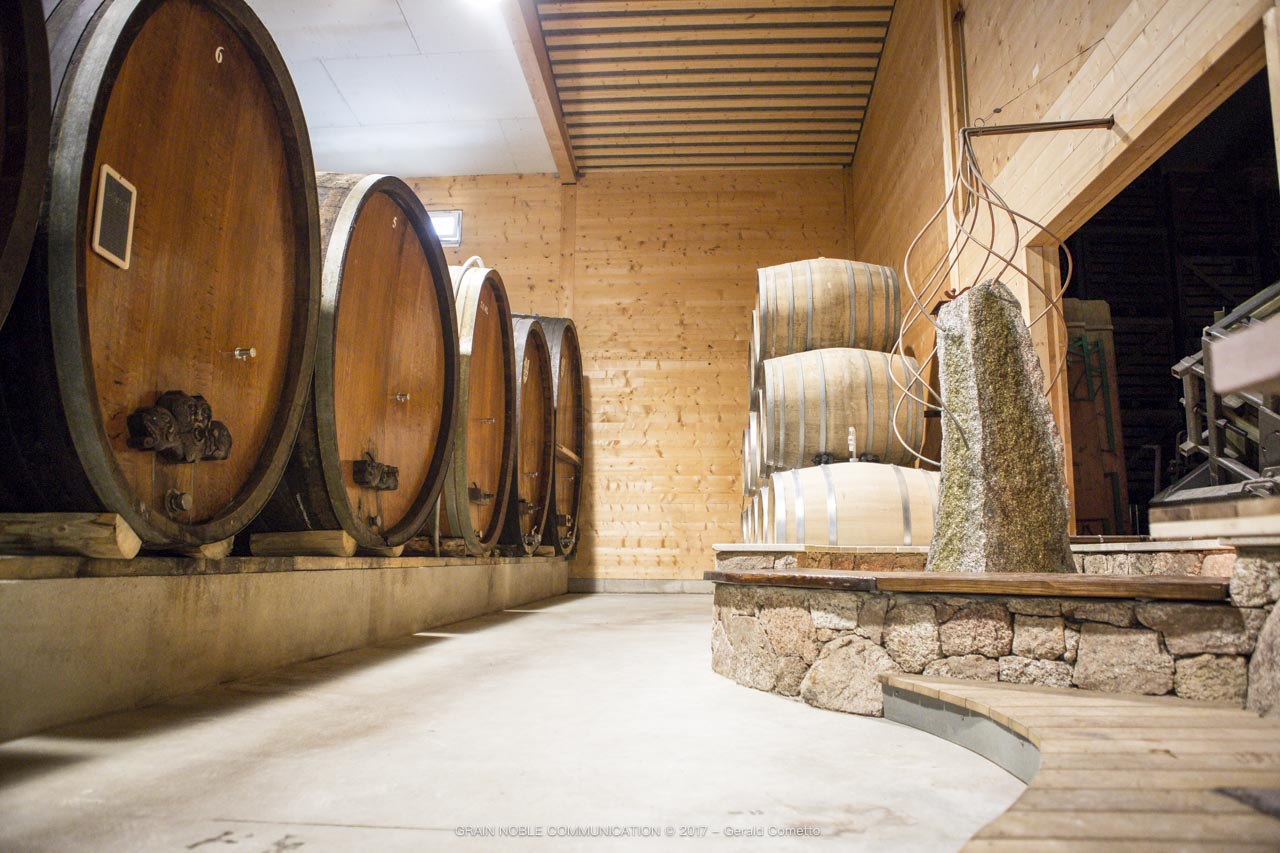 Chai bioclimatique · foudres, barriques et menhir