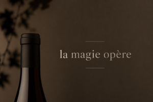 Pinot noir lieu-dit Fruehmess ~ La messe du matin 2025
