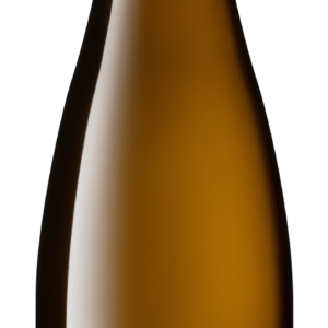 Pinot gris Symbiose 2025
