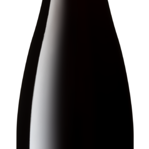 Pinot noir Harmonie 2025