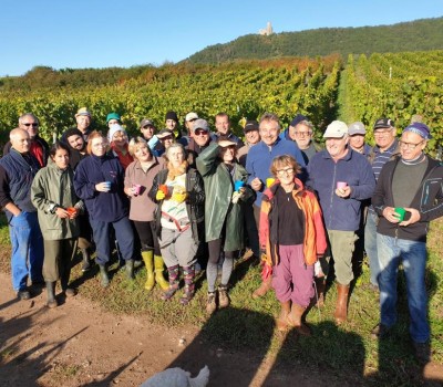 Vendanges et millésime 2019