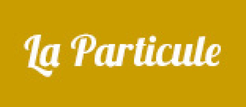 logo restaurant La particule