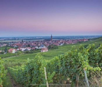 photo depuis une vigne avec vue sur un village médiéval